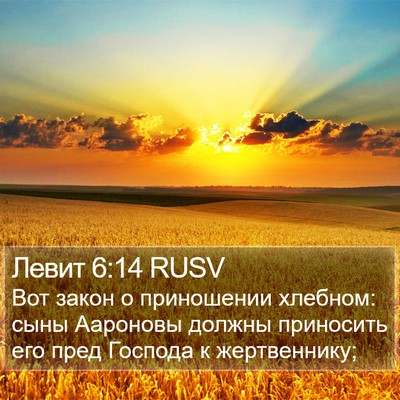 Левит 6:14 RUSV Bible Verse Image