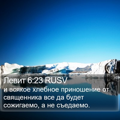 Левит 6:23 RUSV Bible Verse Image