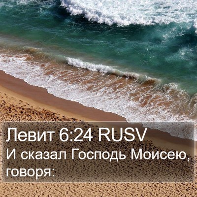 Левит 6:24 RUSV Bible Verse Image
