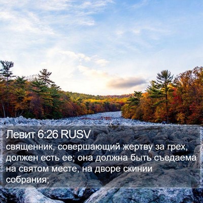 Левит 6:26 RUSV Bible Verse Image