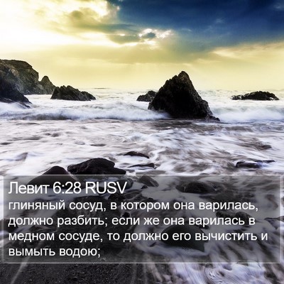 Левит 6:28 RUSV Bible Verse Image