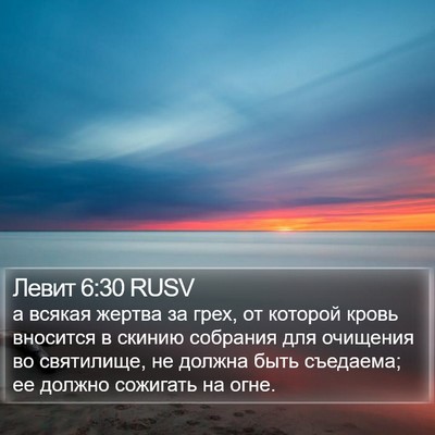 Левит 6:30 RUSV Bible Verse Image