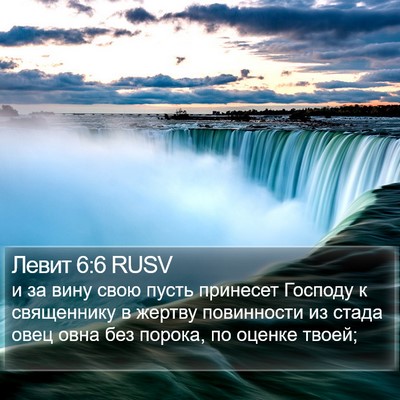 Левит 6:6 RUSV Bible Verse Image