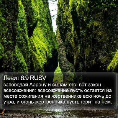 Левит 6:9 RUSV Bible Verse Image