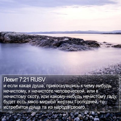 Левит 7:21 RUSV Bible Verse Image