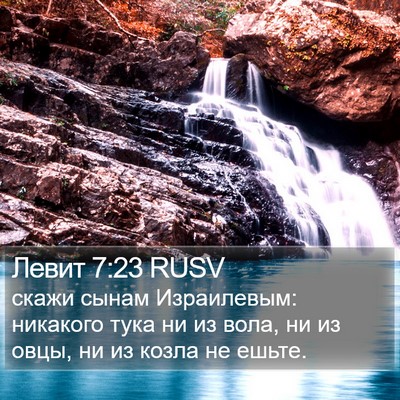 Левит 7:23 RUSV Bible Verse Image