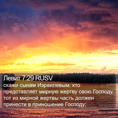 Левит 7:29 RUSV Bible Verse Image