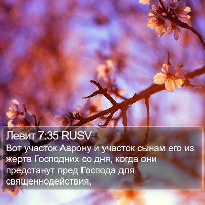 Левит 7:35 RUSV Bible Verse Image