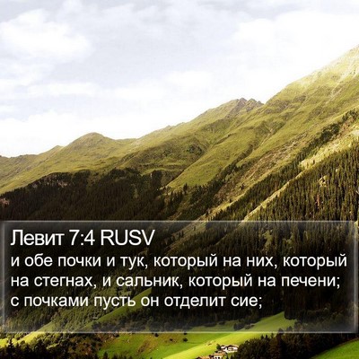 Левит 7:4 RUSV Bible Verse Image