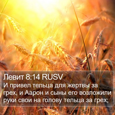 Левит 8:14 RUSV Bible Verse Image