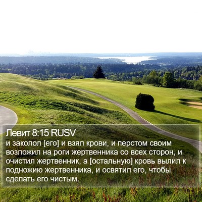 Левит 8:15 RUSV Bible Verse Image