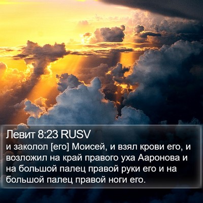 Левит 8:23 RUSV Bible Verse Image