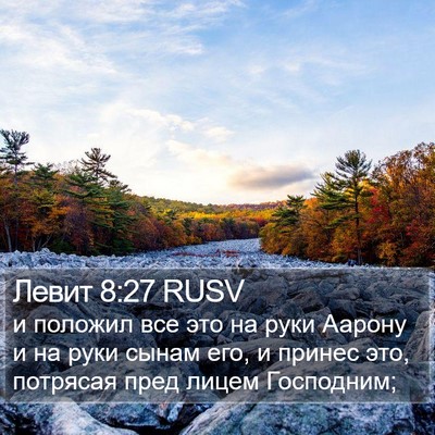 Левит 8:27 RUSV Bible Verse Image