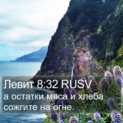 Левит 8:32 RUSV Bible Verse Image