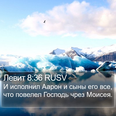 Левит 8:36 RUSV Bible Verse Image
