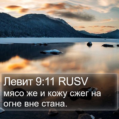 Левит 9:11 RUSV Bible Verse Image