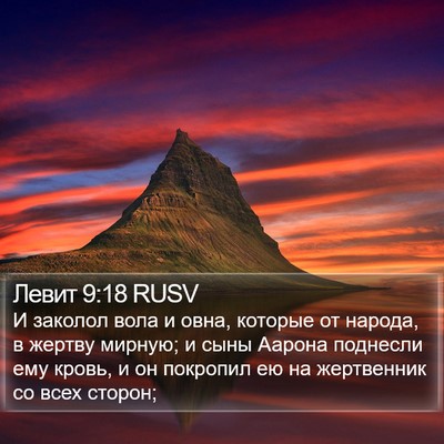 Левит 9:18 RUSV Bible Verse Image