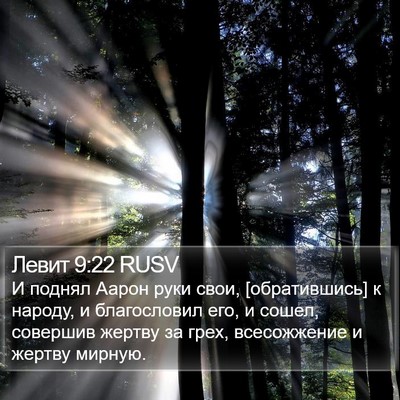 Левит 9:22 RUSV Bible Verse Image
