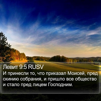 Левит 9:5 RUSV Bible Verse Image