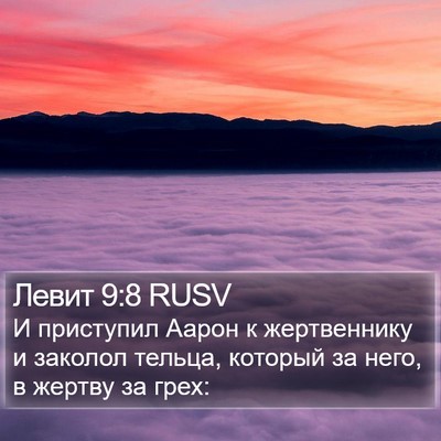 Левит 9:8 RUSV Bible Verse Image