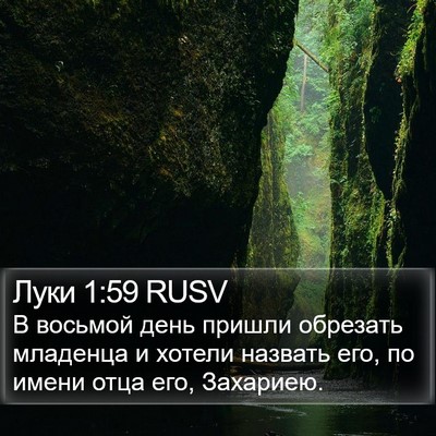Луки 1:59 RUSV Bible Verse Image