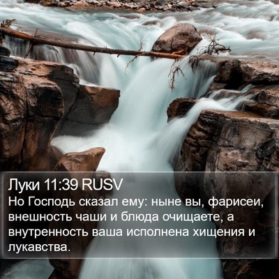 Луки 11:39 RUSV Bible Verse Image