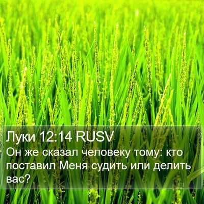 Луки 12:14 RUSV Bible Verse Image