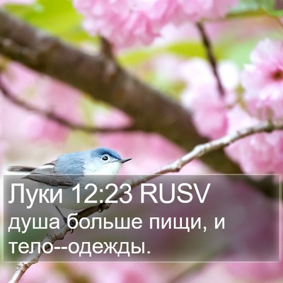 Луки 12:23 RUSV Bible Verse Image