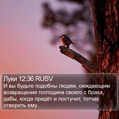 Луки 12:36 RUSV Bible Verse Image