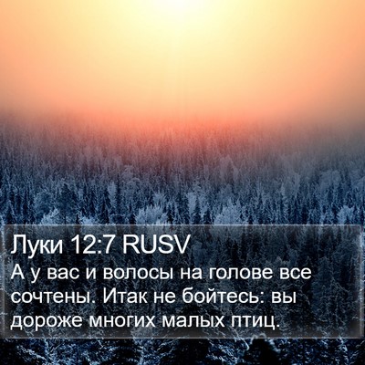 Луки 12:7 RUSV Bible Verse Image
