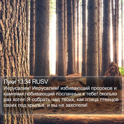 Луки 13:34 RUSV Bible Verse Image
