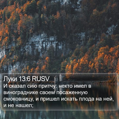 Луки 13:6 RUSV Bible Verse Image