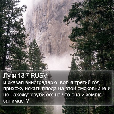 Луки 13:7 RUSV Bible Verse Image
