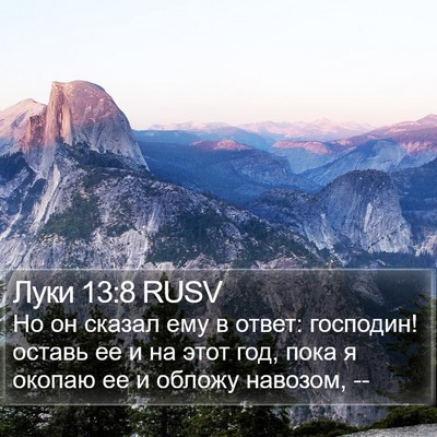Луки 13:8 RUSV Bible Verse Image