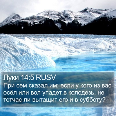 Луки 14:5 RUSV Bible Verse Image