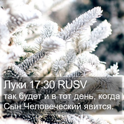 Луки 17:30 RUSV Bible Verse Image
