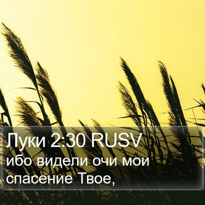 Луки 2:30 RUSV Bible Verse Image