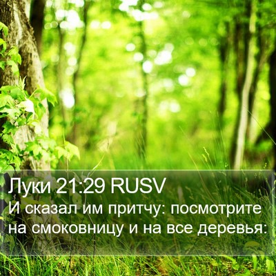 Луки 21:29 RUSV Bible Verse Image