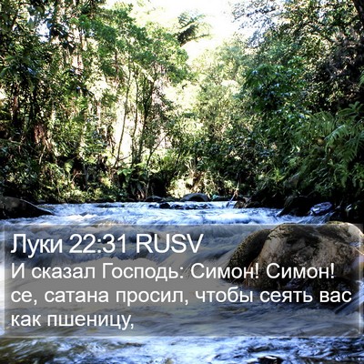 Луки 22:31 RUSV Bible Verse Image