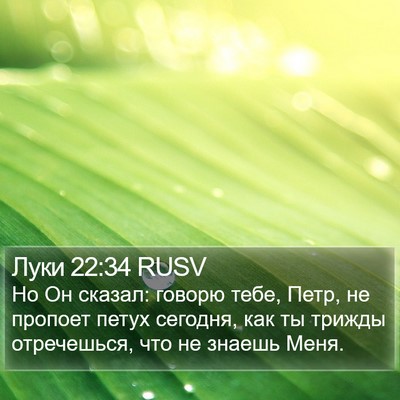 Луки 22:34 RUSV Bible Verse Image
