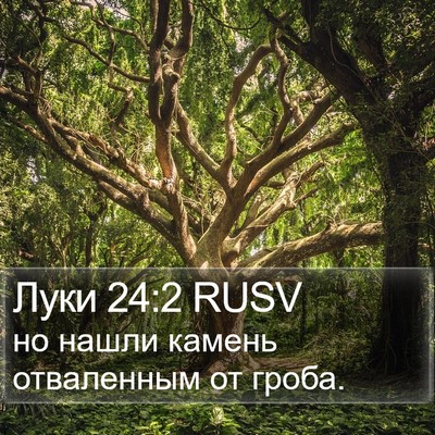 Луки 24:2 RUSV Bible Verse Image
