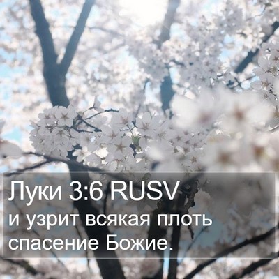 Луки 3:6 RUSV Bible Verse Image