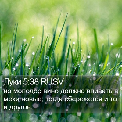Луки 5:38 RUSV Bible Verse Image