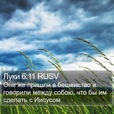 Луки 6:11 RUSV Bible Verse Image