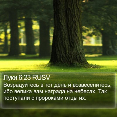 Луки 6:23 RUSV Bible Verse Image