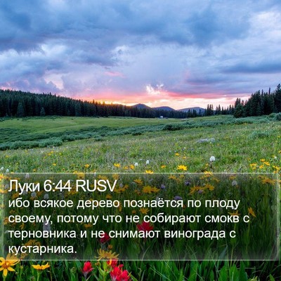 Луки 6:44 RUSV Bible Verse Image