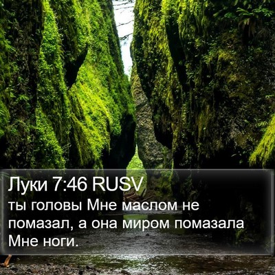 Луки 7:46 RUSV Bible Verse Image