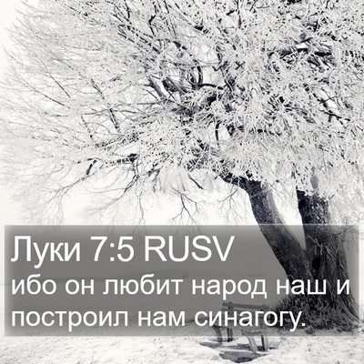 Луки 7:5 RUSV Bible Verse Image