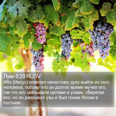 Луки 8:29 RUSV Bible Verse Image