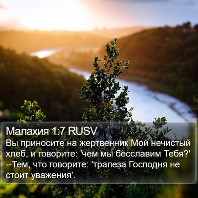 Малахия 1:7 RUSV Bible Verse Image